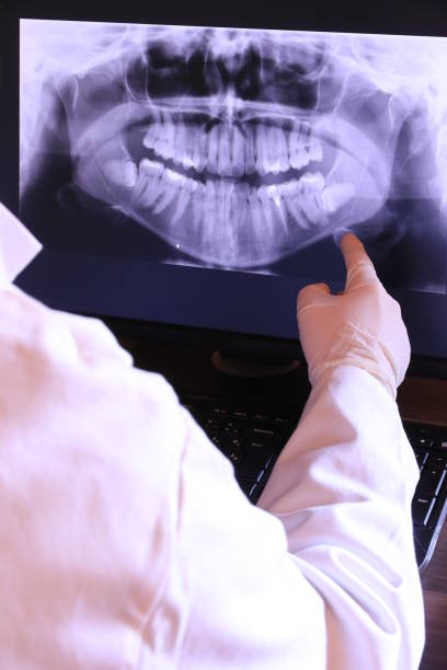 Best Emergency X-Rays and Diagnostics in St Martinville, LA